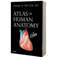 Atlas of Human Anatomy (Netter Basic Science) 7th Edition