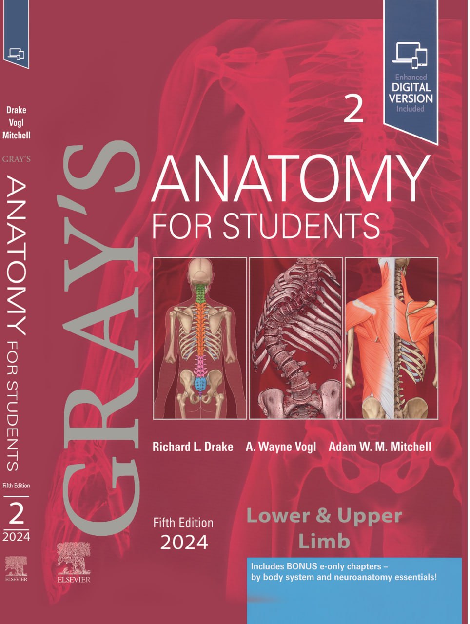 کتاب 2024 Gray's Anatomy for Students | کتاب آناتومی گری جلد دوم اندام زبان اصلی